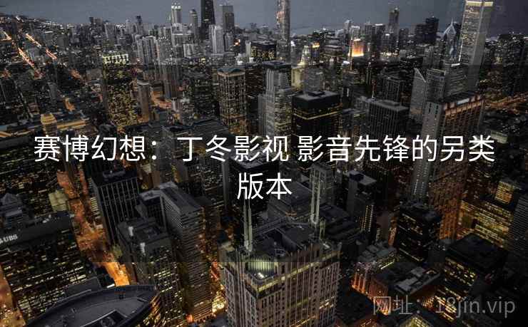 赛博幻想：丁冬影视 影音先锋的另类版本